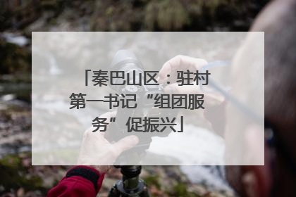 秦巴山区：驻村第一书记“组团服务”促振兴