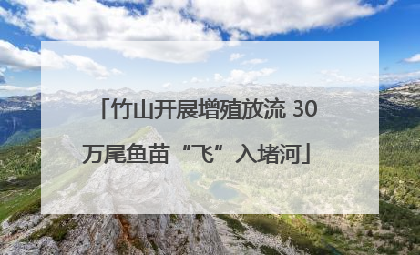 竹山开展增殖放流 30万尾鱼苗“飞”入堵河