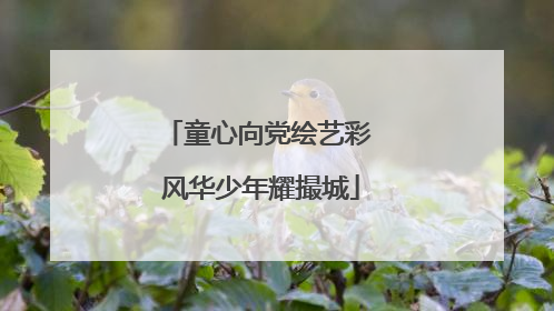 童心向党绘艺彩 风华少年耀撮城