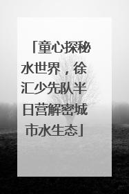 童心探秘水世界，徐汇少先队半日营解密城市水生态
