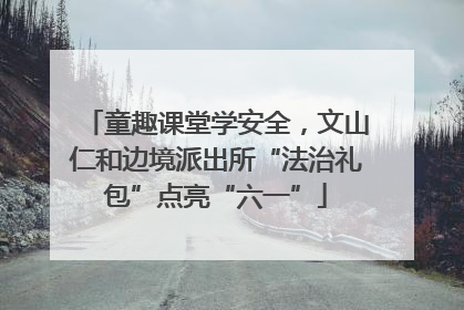 童趣课堂学安全，文山仁和边境派出所“法治礼包”点亮“六一”
