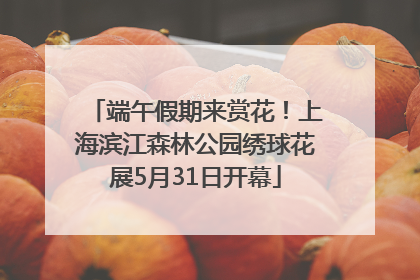 端午假期来赏花！上海滨江森林公园绣球花展5月31日开幕