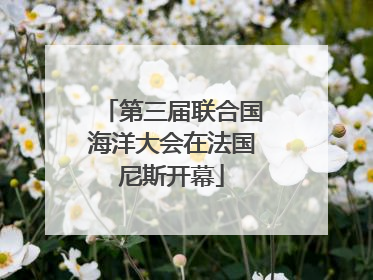 第三届联合国海洋大会在法国尼斯开幕