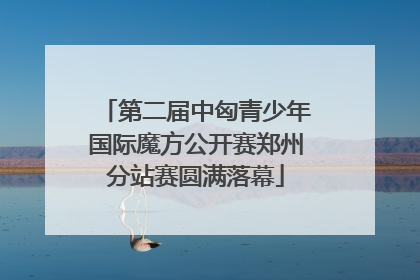 第二届中匈青少年国际魔方公开赛郑州分站赛圆满落幕