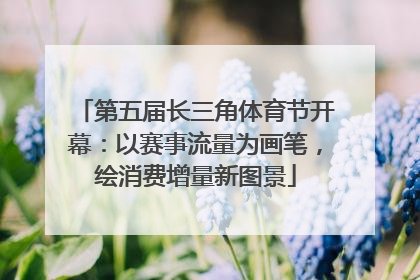 第五届长三角体育节开幕：以赛事流量为画笔，绘消费增量新图景