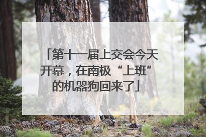 第十一届上交会今天开幕，在南极“上班”的机器狗回来了