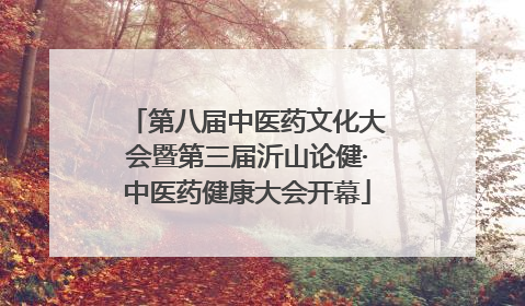 第八届中医药文化大会暨第三届沂山论健·中医药健康大会开幕