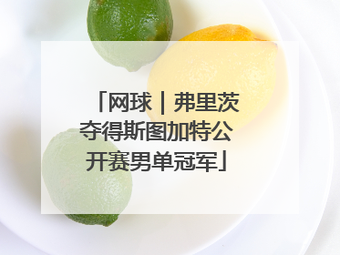 网球｜弗里茨夺得斯图加特公开赛男单冠军