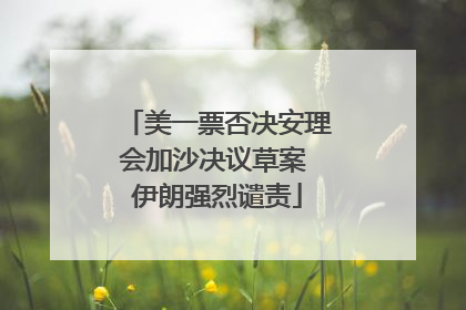 美一票否决安理会加沙决议草案 伊朗强烈谴责
