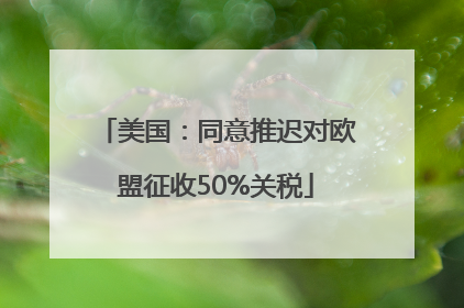 美国：同意推迟对欧盟征收50%关税