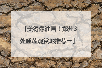 美得像油画！郑州3处睡莲观赏地推荐→