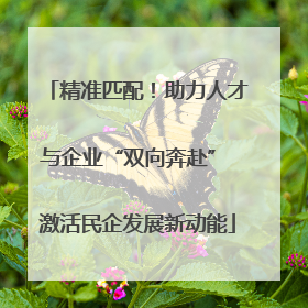 精准匹配！助力人才与企业“双向奔赴” 激活民企发展新动能