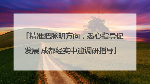 精准把脉明方向，悉心指导促发展 成都经实中迎调研指导
