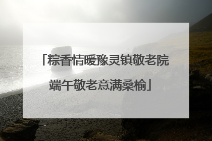 粽香情暖豫灵镇敬老院 端午敬老意满桑榆