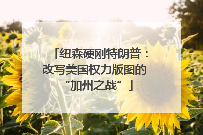 纽森硬刚特朗普：改写美国权力版图的 “加州之战”