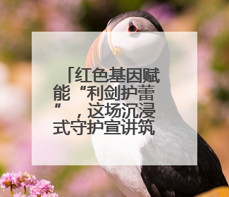 红色基因赋能“利剑护蕾”，这场沉浸式守护宣讲筑牢校园安全防线