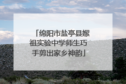 绵阳市盐亭县嫘祖实验中学师生巧手剪出家乡神韵