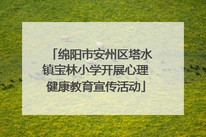 绵阳市安州区塔水镇宝林小学开展心理健康教育宣传活动