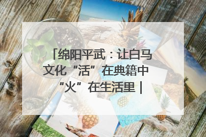 绵阳平武：让白马文化“活”在典籍中 “火”在生活里｜新闻发布最前线