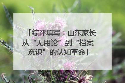 综评填写：山东家长从“无用论”到“档案意识”的认知革命