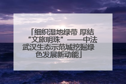 细织湿地绿带 厚结“文旅明珠”——中法武汉生态示范城挖掘绿色发展新动能
