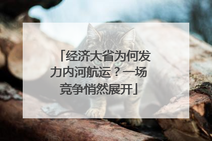 经济大省为何发力内河航运？一场竞争悄然展开