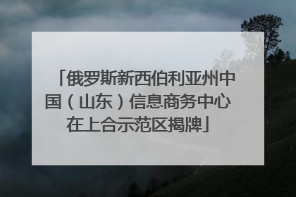 俄罗斯新西伯利亚州中国（山东）信息商务中心在上合示范区揭牌