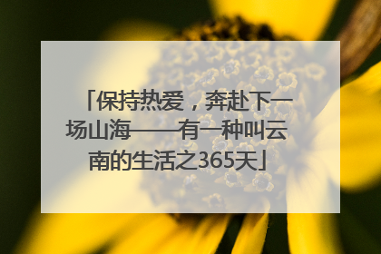 保持热爱，奔赴下一场山海——有一种叫云南的生活之365天