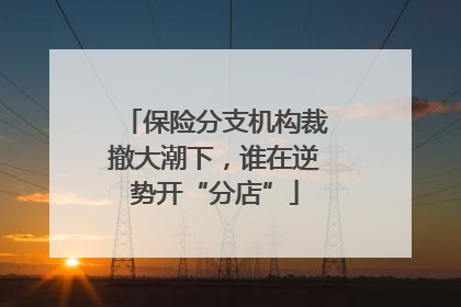 保险分支机构裁撤大潮下，谁在逆势开“分店”