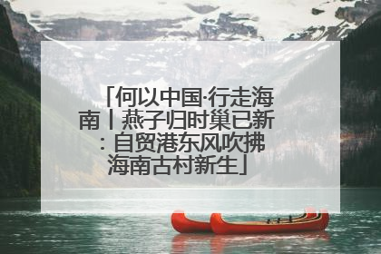 何以中国·行走海南丨燕子归时巢已新：自贸港东风吹拂 海南古村新生