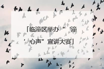 临潼区举办“‘潼’心声”宣讲大赛