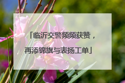 临沂交警频频获赞，再添锦旗与表扬工单