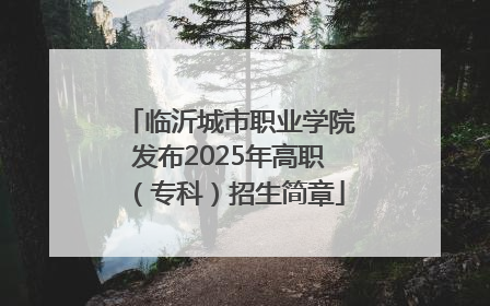 临沂城市职业学院发布2025年高职（专科）招生简章
