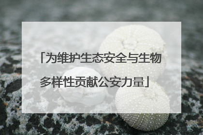 为维护生态安全与生物多样性贡献公安力量