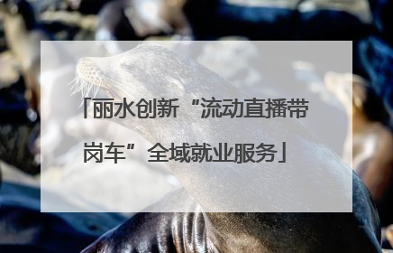丽水创新“流动直播带岗车”全域就业服务