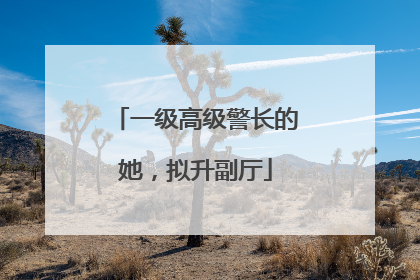 一级高级警长的她，拟升副厅