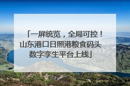 一屏统览，全局可控！山东港口日照港粮食码头数字孪生平台上线