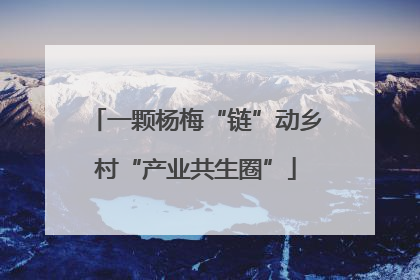 一颗杨梅“链”动乡村“产业共生圈”