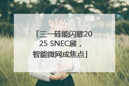 三一硅能闪耀2025 SNEC展，智能微网成焦点