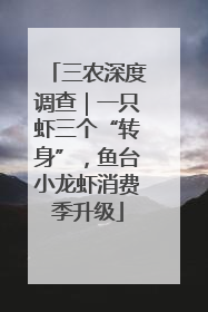 三农深度调查｜一只虾三个“转身”，鱼台小龙虾消费季升级