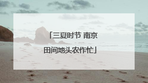 三夏时节 南京田间地头农作忙