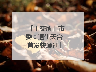 上交所上市委：道生天合首发获通过