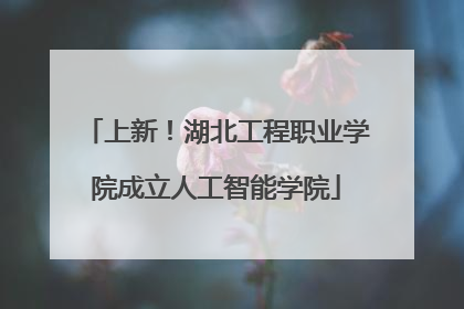 上新！湖北工程职业学院成立人工智能学院