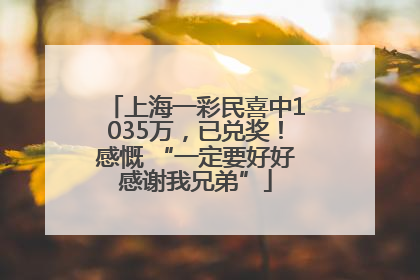 上海一彩民喜中1035万，已兑奖！感慨 “一定要好好感谢我兄弟”