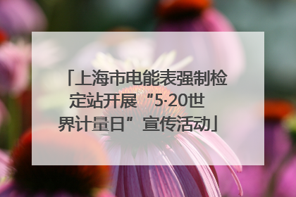 上海市电能表强制检定站开展“5·20世界计量日”宣传活动