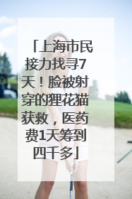 上海市民接力找寻7天！脸被射穿的狸花猫获救，医药费1天筹到四千多