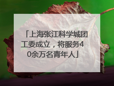 上海张江科学城团工委成立，将服务40余万名青年人
