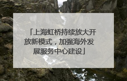 上海虹桥持续放大开放新模式，加强海外发展服务中心建设