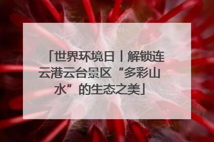 世界环境日丨解锁连云港云台景区“多彩山水”的生态之美