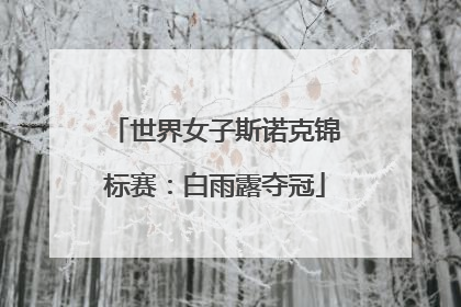 世界女子斯诺克锦标赛：白雨露夺冠
